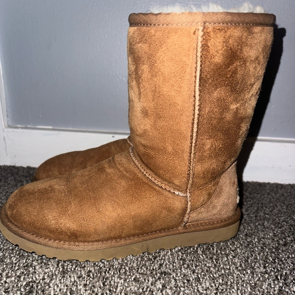 CLASSIC SHORT UGG (CHESTNUT) - Picture 6 of 8